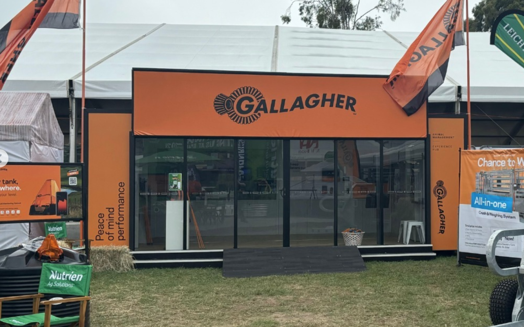 Gallagher